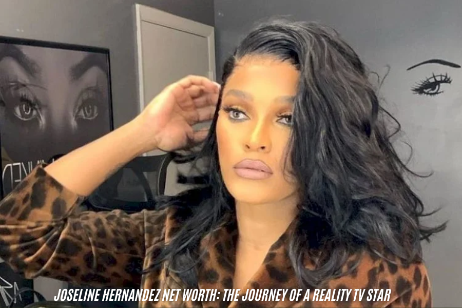 joseline hernandez net worth